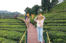 Wisata Kebun Teh Gunung Gambir, Destinasi Alam yang Ramai Dikunjungi di Akhir Masa Libur Lebaran