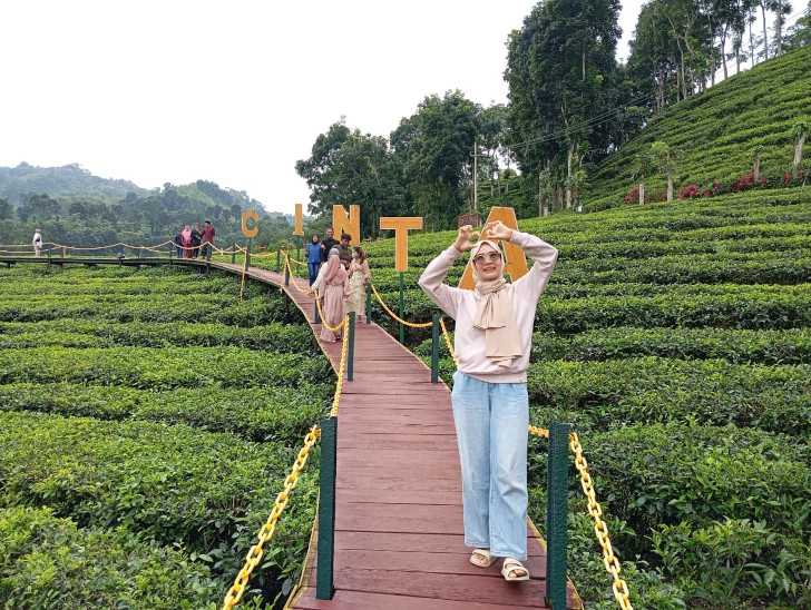 Wisata Kebun Teh Gunung Gambir, Destinasi Alam yang Ramai Dikunjungi di Akhir Masa Libur Lebaran
