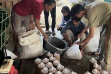 Inovasi Bonggol Jagung sebagai Pengganti Baglog Jamur, Kurangi Pembalakan Liar 12 de432ea2 a120 4759 8d89 94e198116185