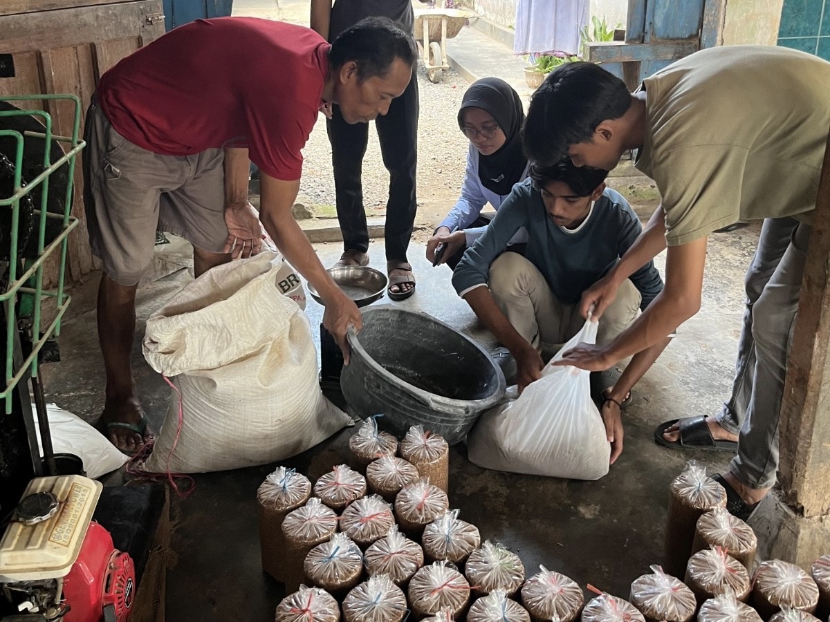 Inovasi Bonggol Jagung sebagai Pengganti Baglog Jamur, Kurangi Pembalakan Liar 8 de432ea2 a120 4759 8d89 94e198116185