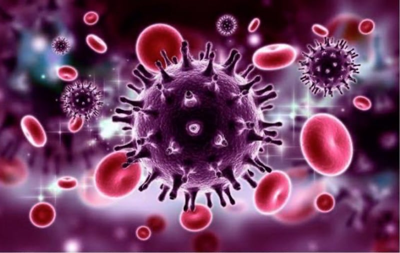 Tahun 2025, 200 Kasus HIV Terdeteksi di Kabupaten Jember 4 Tahun 2025, 200 Kasus HIV Terdeteksi di Kabupaten Jember